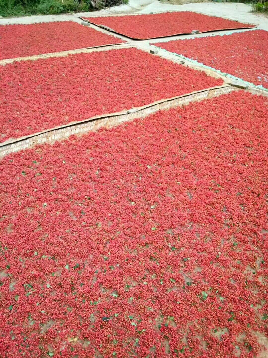 韩城大红袍花椒